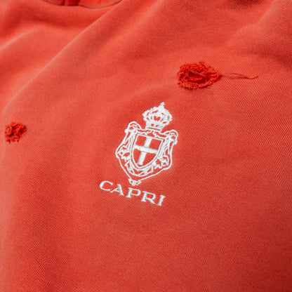 ProjectCapri CAPRI CREST HOODIE - AVBL MRKT (7)