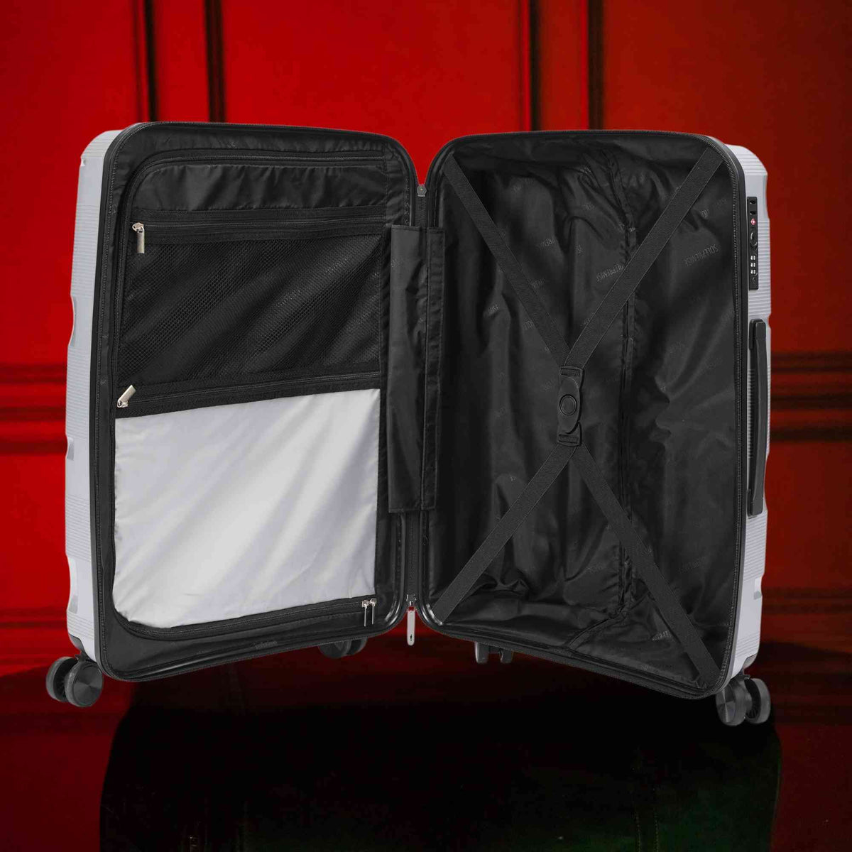 Sole Premise 20-inch Silver Carry-On Hardcase Roller Luggage - AVBL MRKT (2)