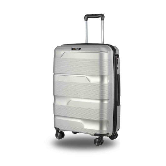 Sole Premise 24-inch Silver Hardcase Roller Luggage - AVBL MRKT (1)