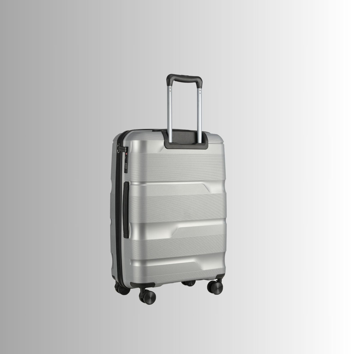 Sole Premise 24-inch Silver Hardcase Roller Luggage - AVBL MRKT (4)