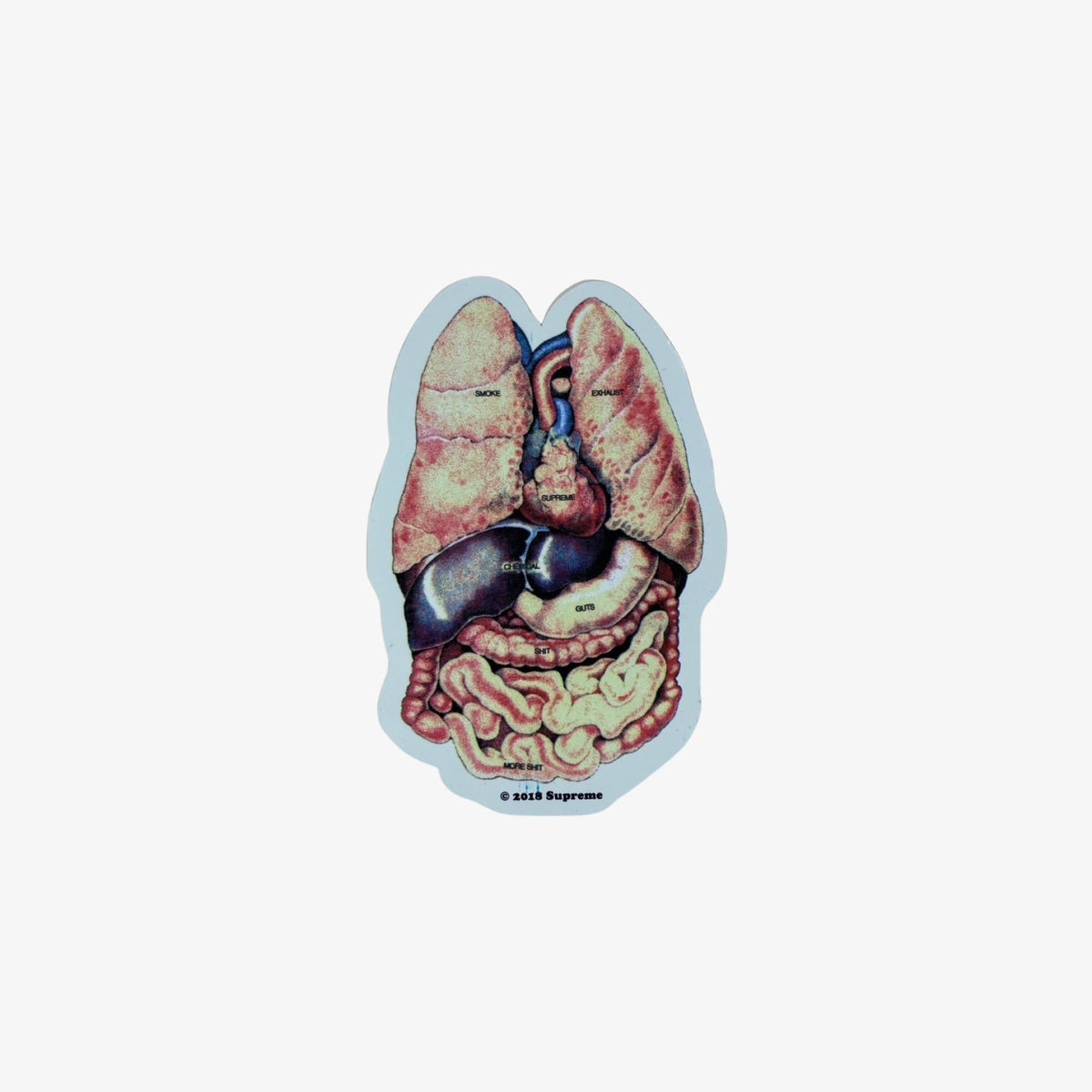 Supreme Sticker 'Guts' Multicolor (FW18) - AVBL MRKT (1)