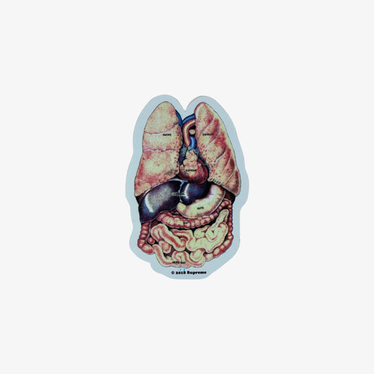Supreme Sticker 'Guts' Multicolor (FW18) - AVBL MRKT (1)