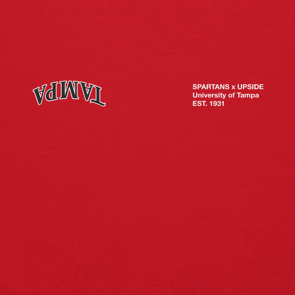 Tampa x UPSIDE Hoodie - AVBL MRKT (2)