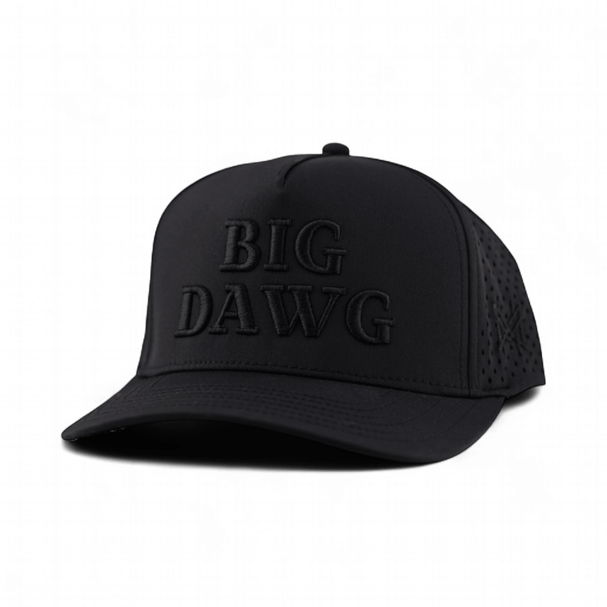 The Mad Hatter Company Big Dawg Snapback Hat - AVBL MRKT (3)