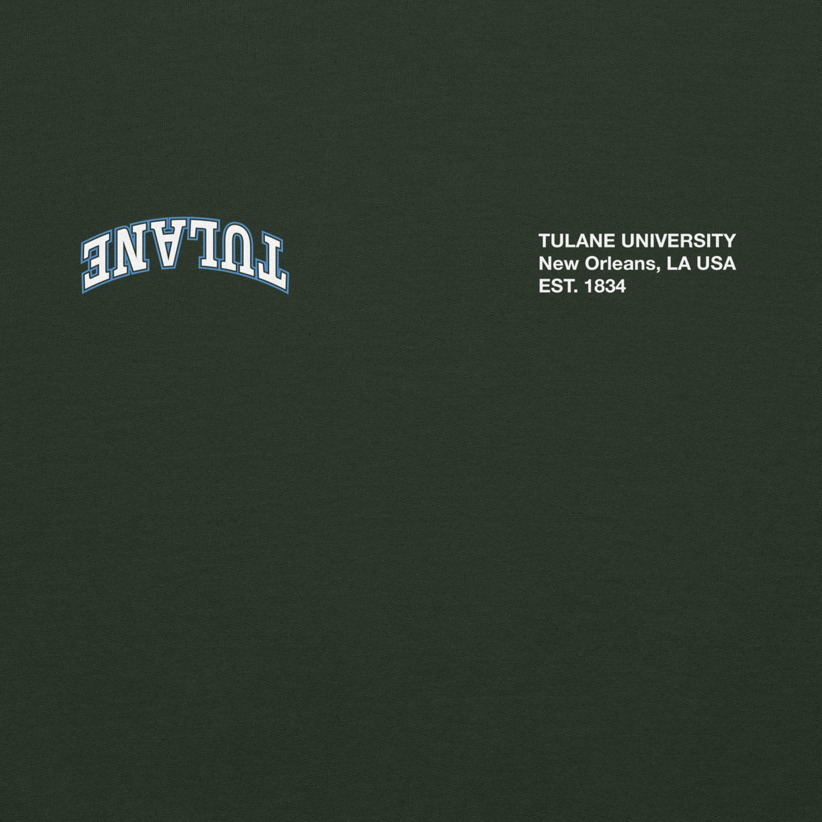 Tulane x UPSIDE Hoodie - AVBL MRKT (3)