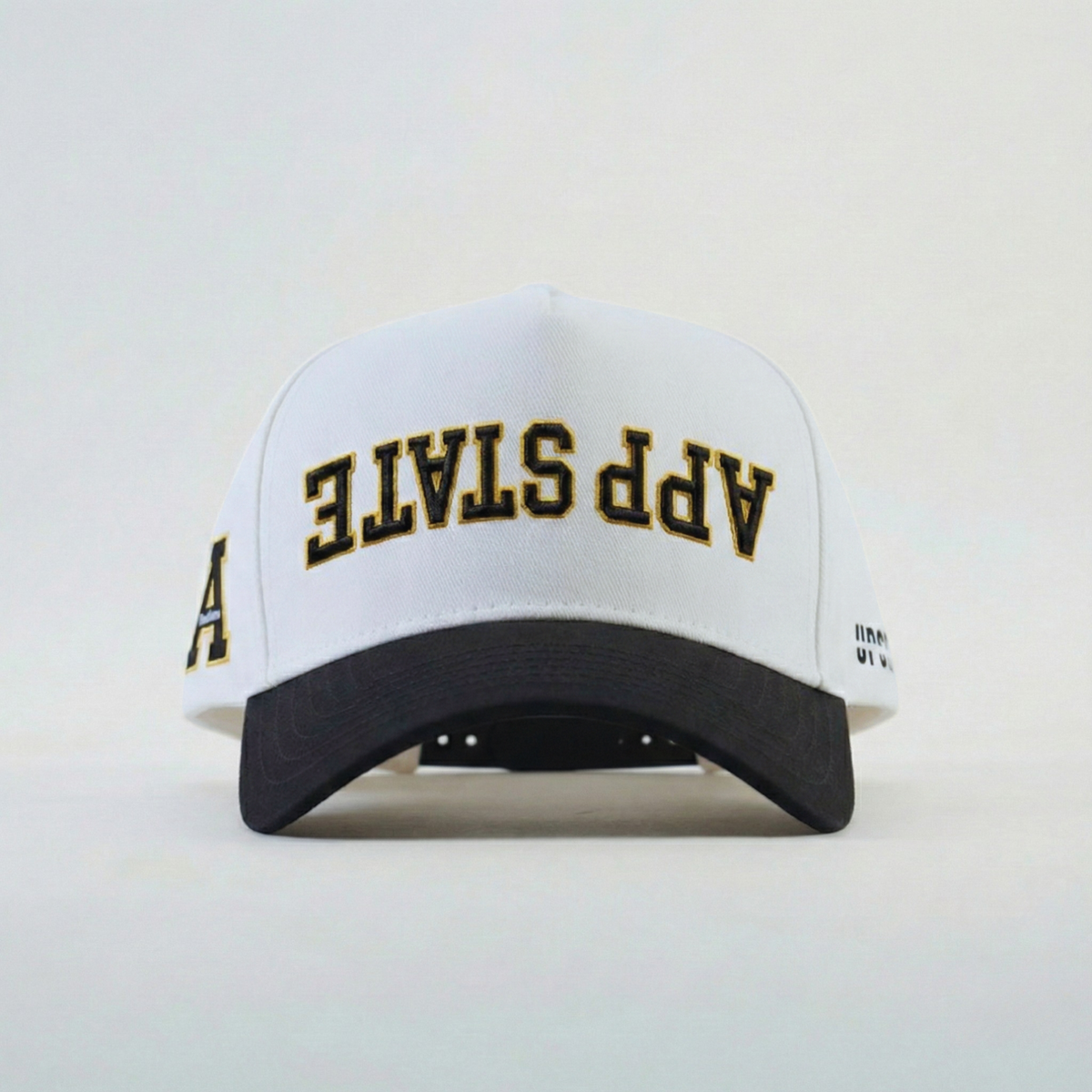 UPSIDE App State Hat - AVBL MRKT (1)