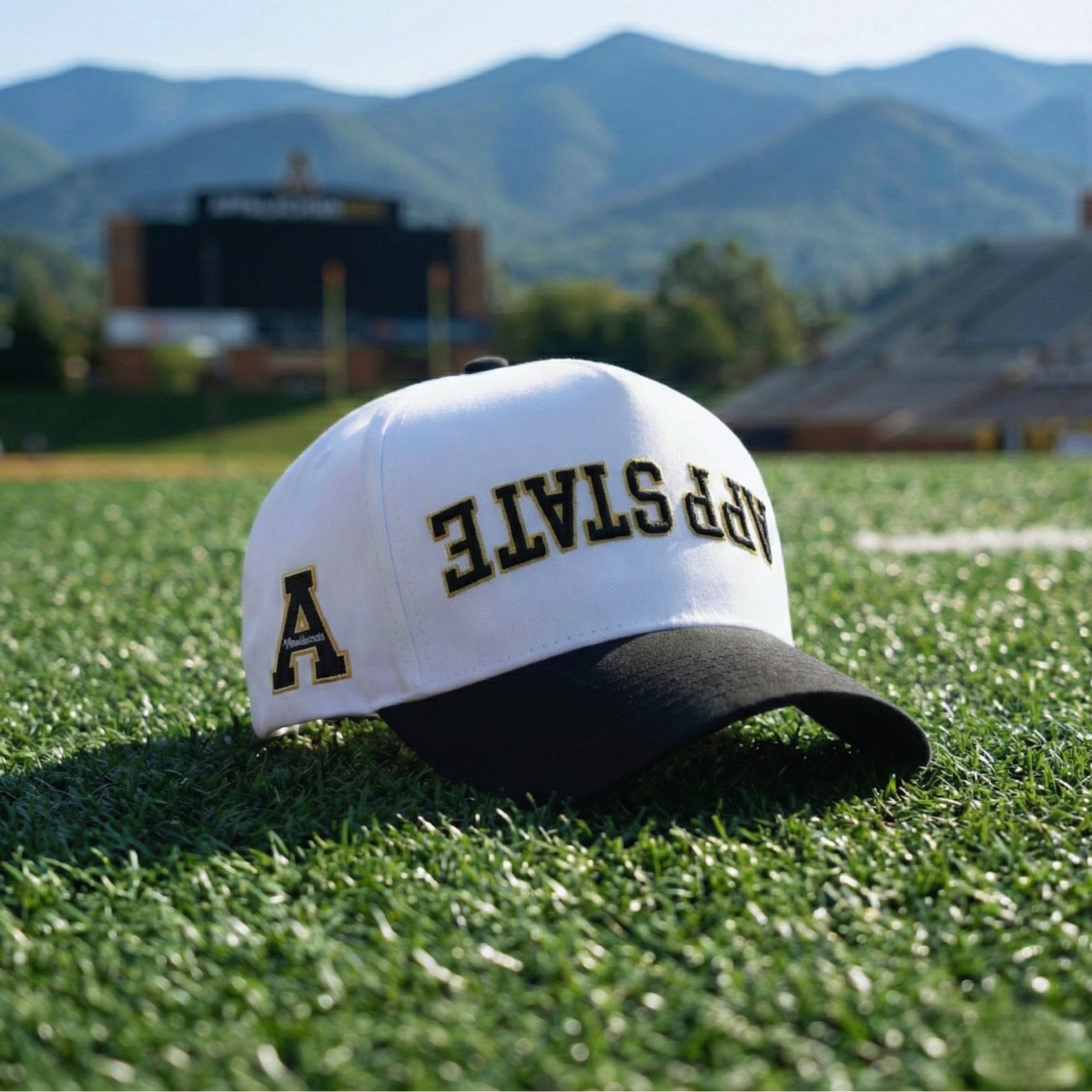 UPSIDE App State Hat - AVBL MRKT (4)