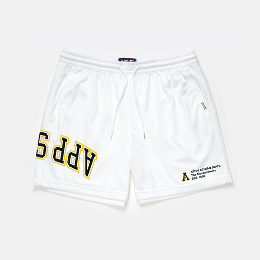 UPSIDE App State Mesh Shorts | Exclusive - AVBL MRKT (1)