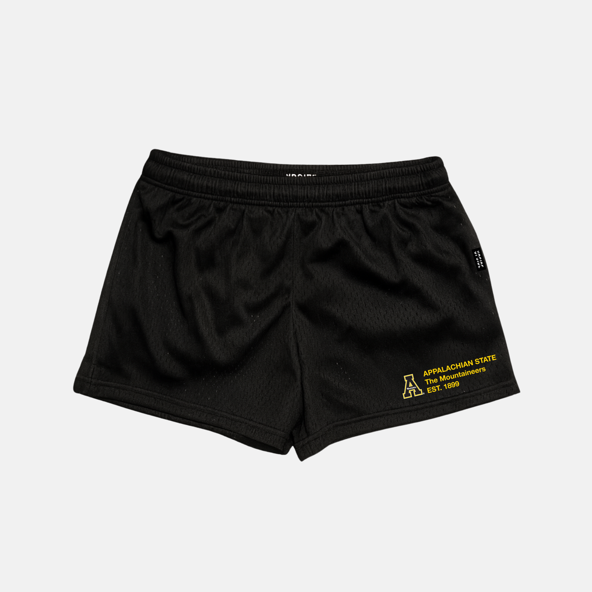 UPSIDE App State Mesh Shorts | Women - AVBL MRKT (2)