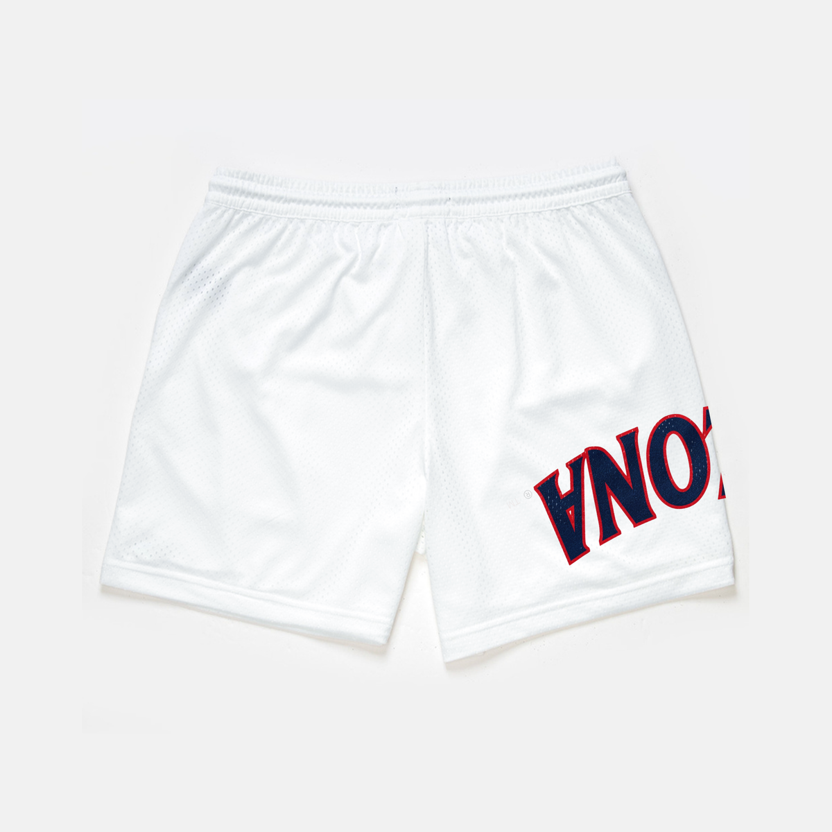 UPSIDE Arizona Mesh Shorts | Exclusive - AVBL MRKT (2)