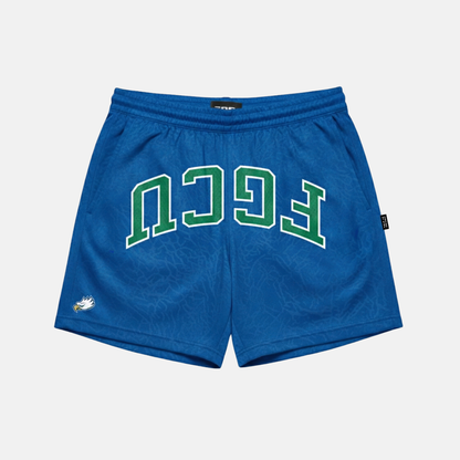 UPSIDE FGCU Mesh Shorts - AVBL MRKT (1)