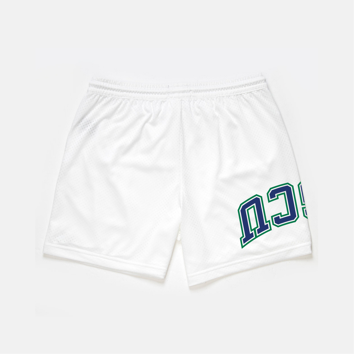 UPSIDE FGCU Mesh Shorts | Exclusive - AVBL MRKT (2)