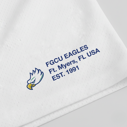 UPSIDE FGCU Mesh Shorts | Exclusive - AVBL MRKT (3)