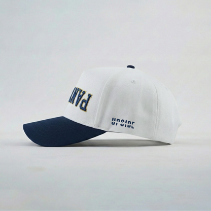 UPSIDE FIU Panthers Hat - AVBL MRKT (3)