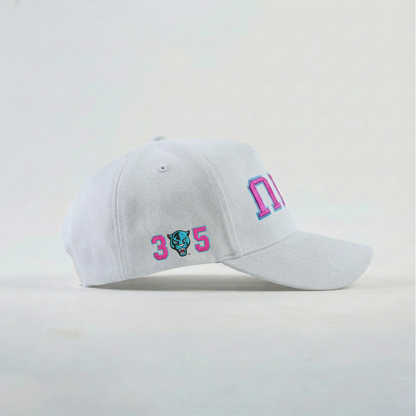 UPSIDE FIU Panthers Vice Suede Hat - AVBL MRKT (2)
