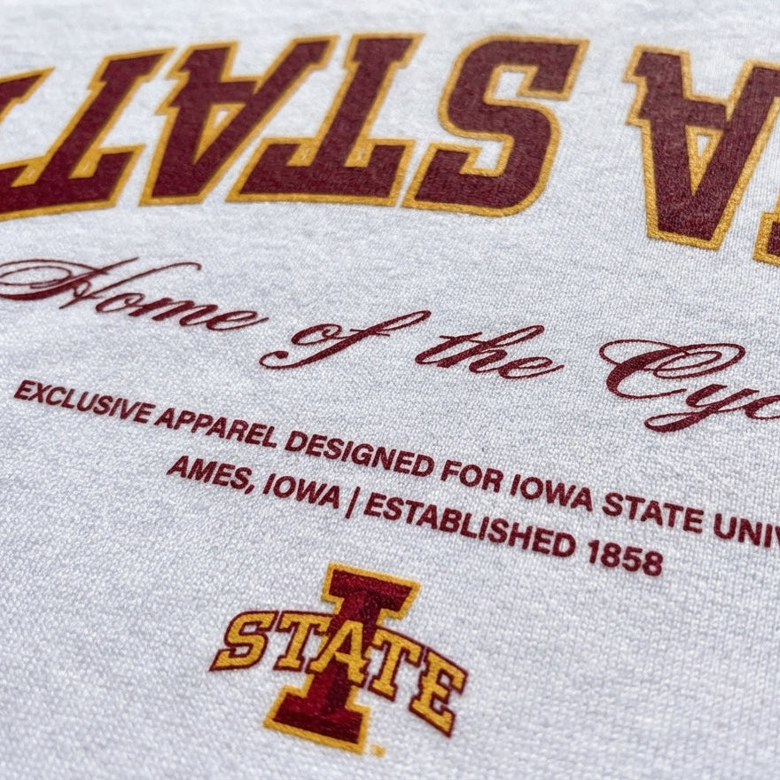 UPSIDE Iowa State Essentials Hoodie - AVBL MRKT (3)
