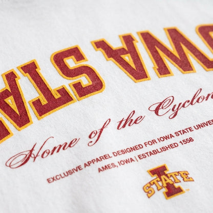 UPSIDE Iowa State Essentials Oversized Tee - AVBL MRKT (4)