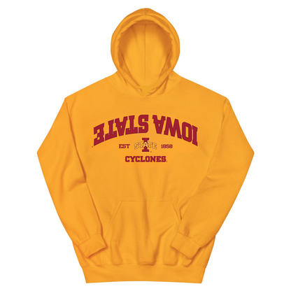 UPSIDE Iowa State Established Hoodie - AVBL MRKT (1)