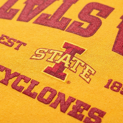 UPSIDE Iowa State Established Hoodie - AVBL MRKT (2)