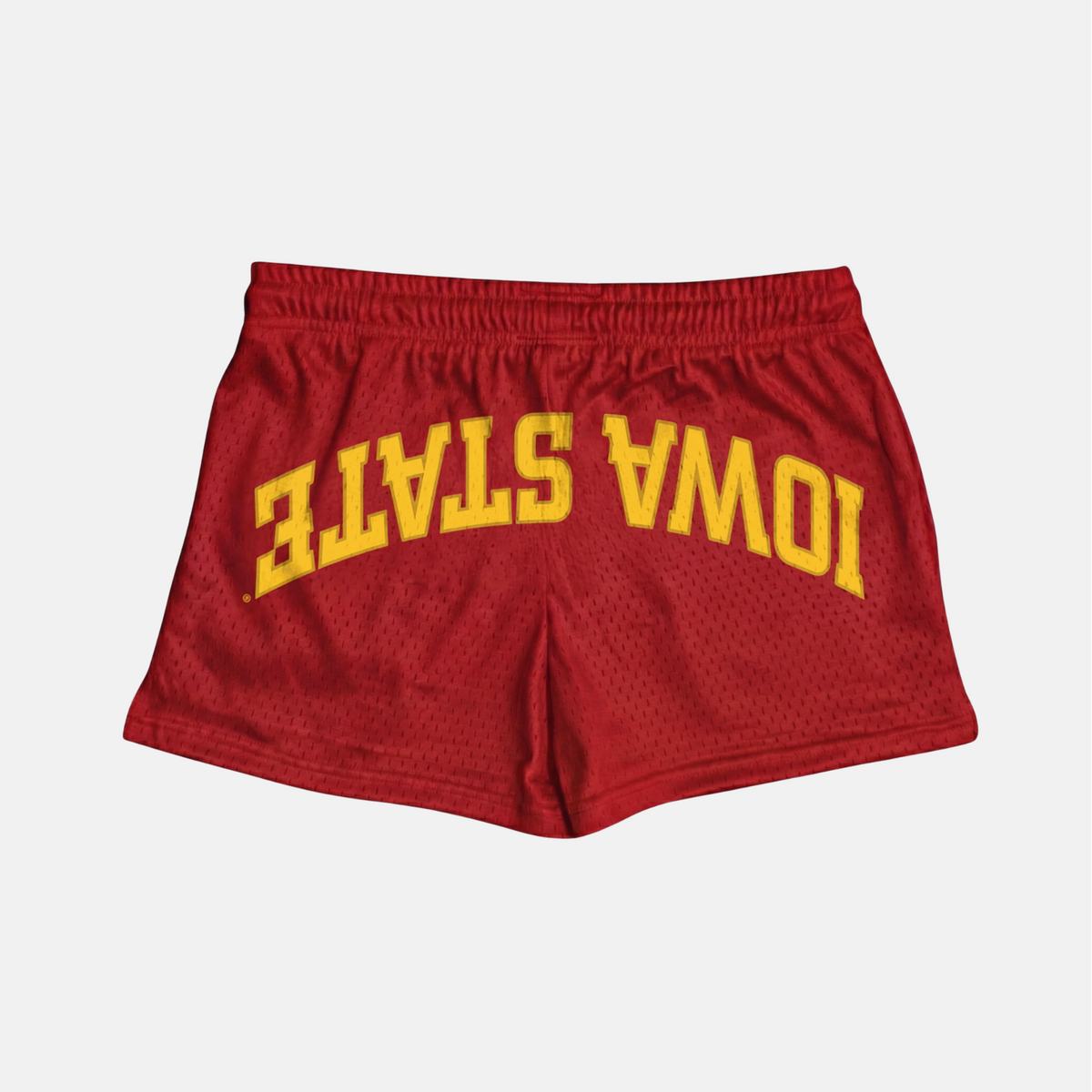 UPSIDE Iowa State Mesh Shorts | Women - AVBL MRKT (1)