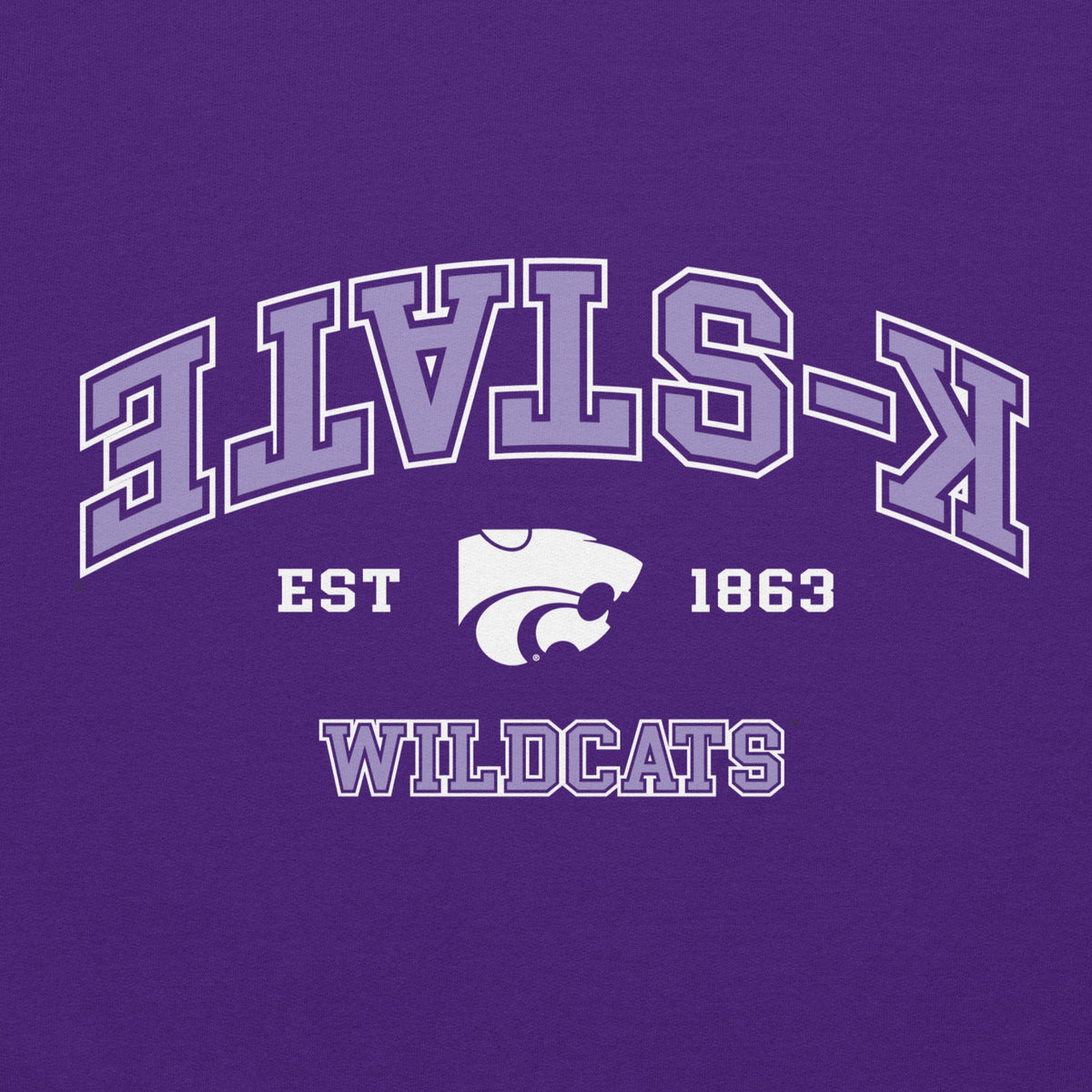 UPSIDE Kansas State Established Hoodie - AVBL MRKT (2)