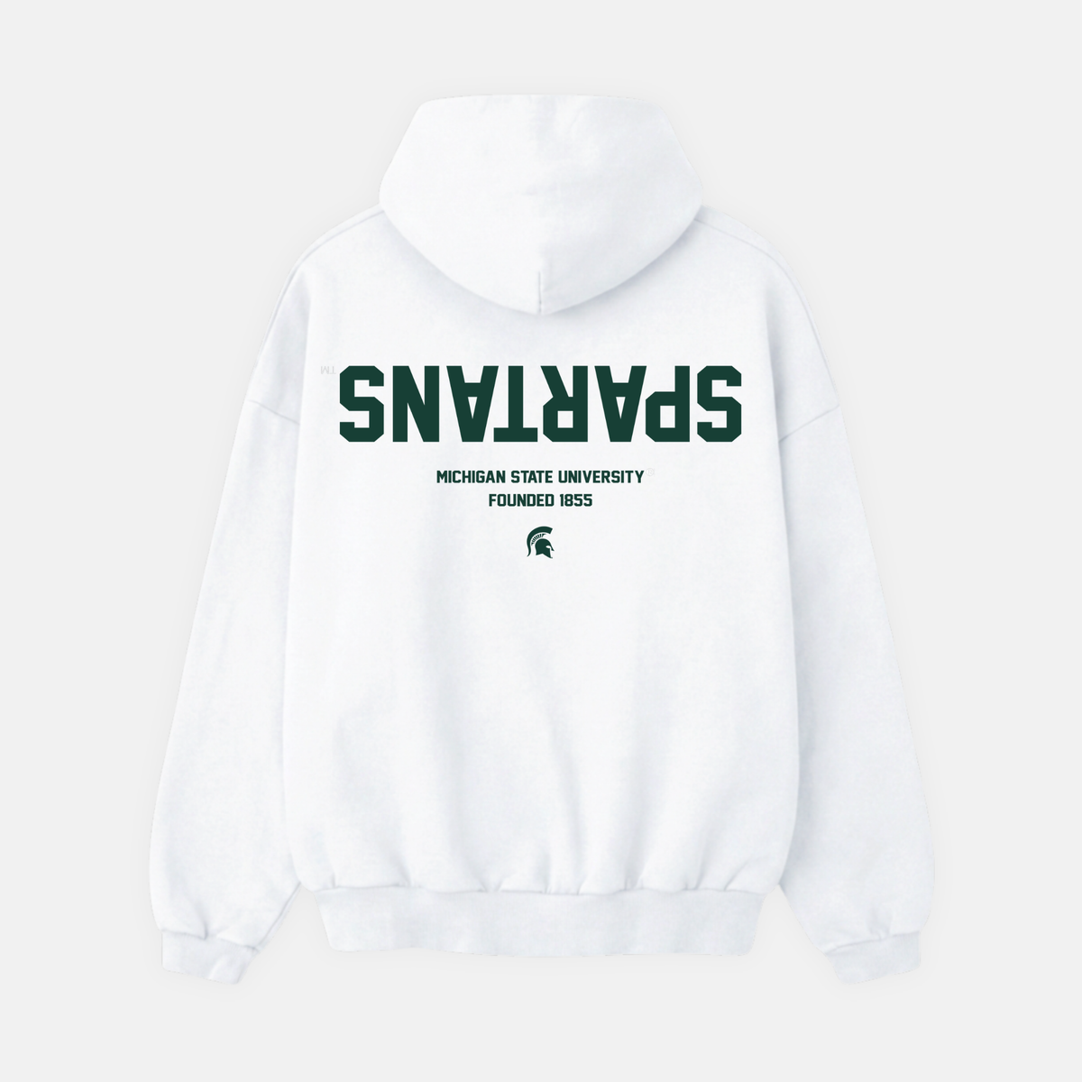 UPSIDE Michigan State Essentials Hoodie - AVBL MRKT (1)