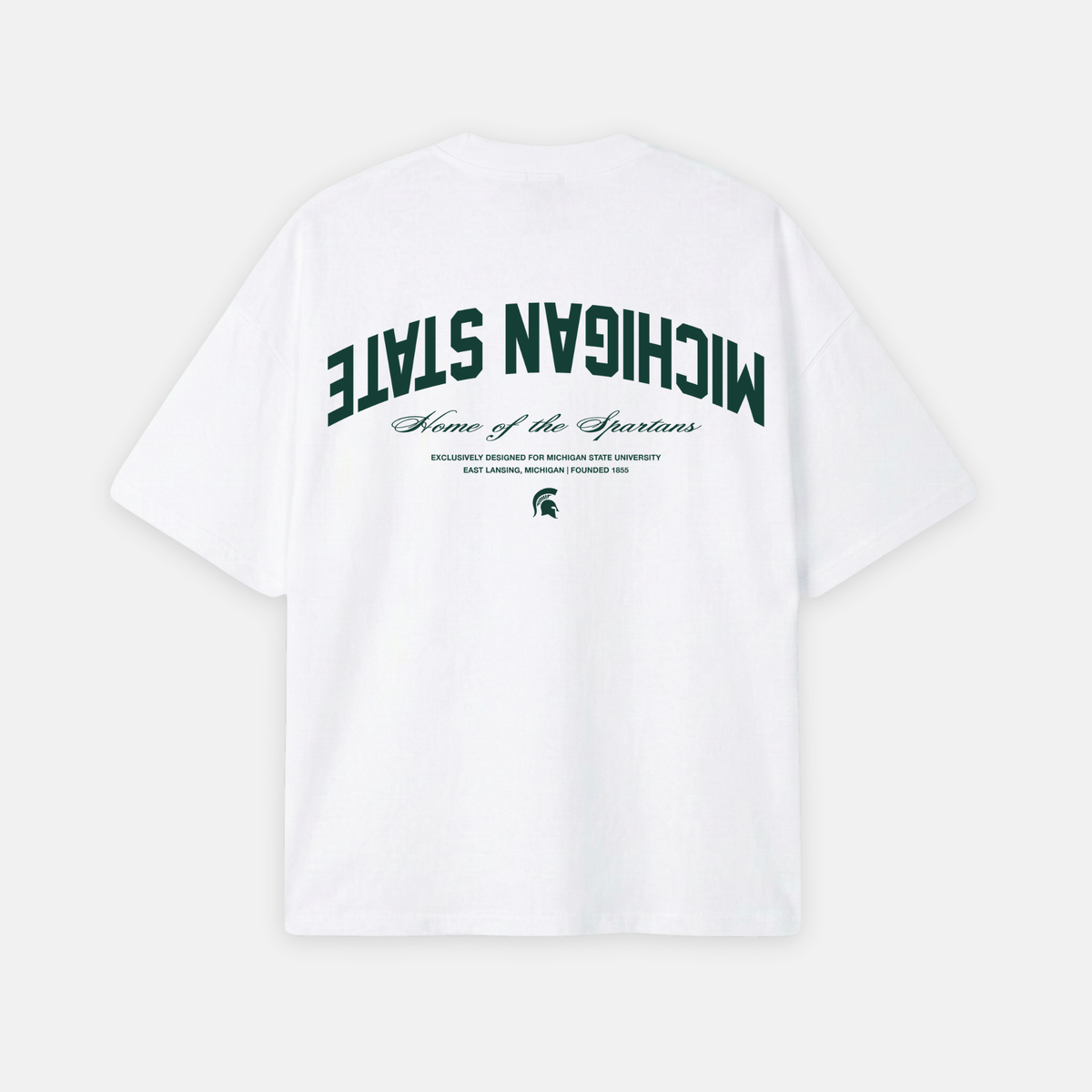UPSIDE Michigan State Essentials Oversized Tee - AVBL MRKT (1)