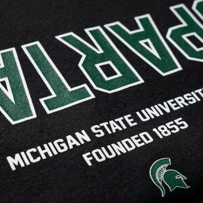 UPSIDE Michigan State Essentials Oversized Tee - AVBL MRKT (4)