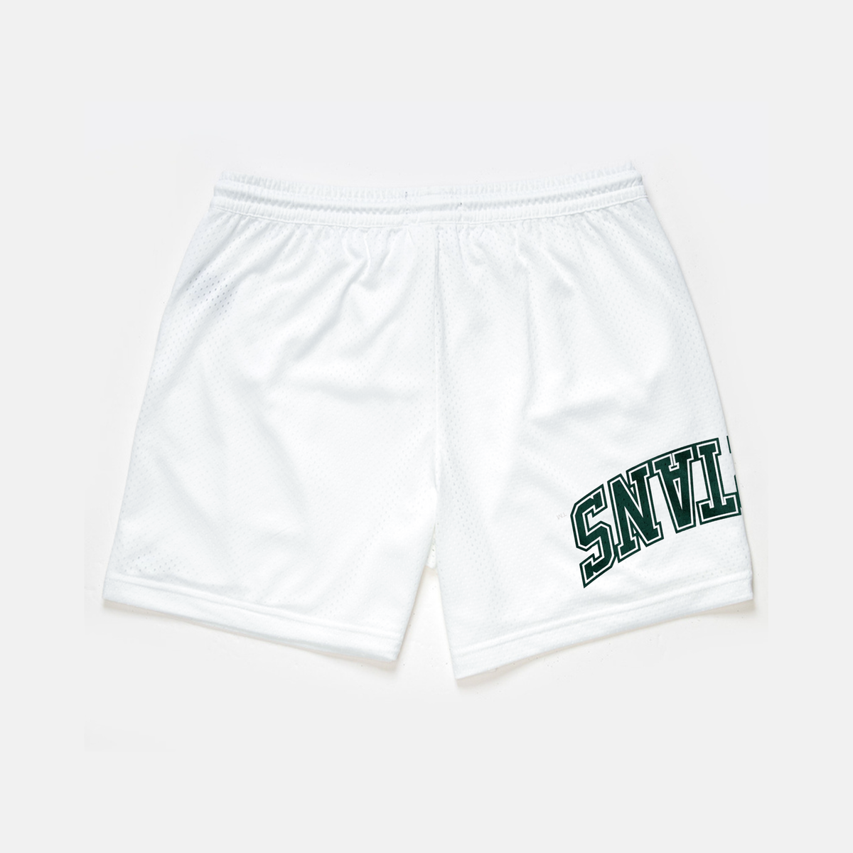 UPSIDE Michigan State Mesh Shorts | Exclusive - AVBL MRKT (2)