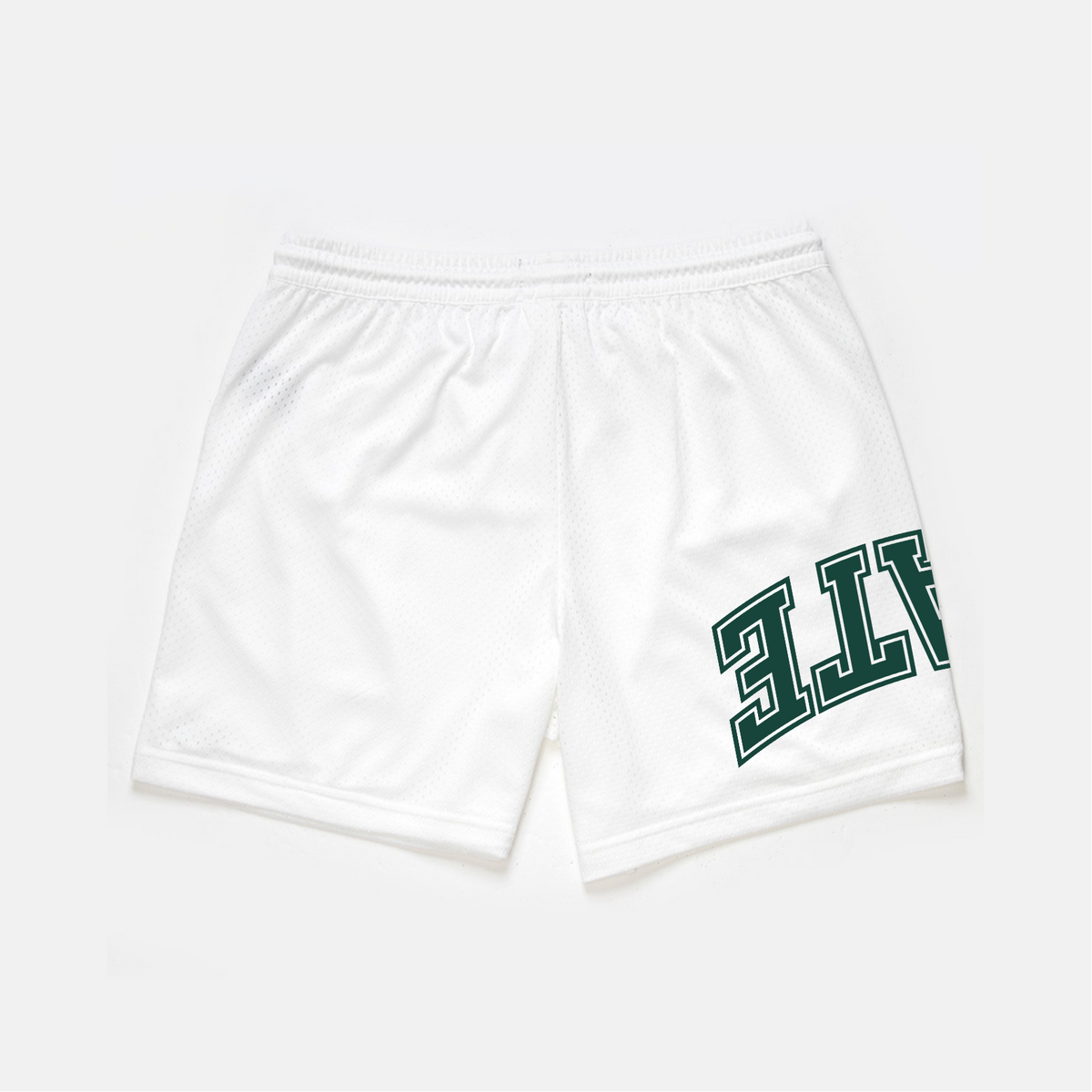 UPSIDE Michigan State Mesh Shorts | Limited Edition - AVBL MRKT (2)