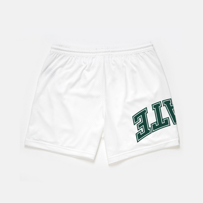 UPSIDE Michigan State Mesh Shorts | Limited Edition - AVBL MRKT (2)