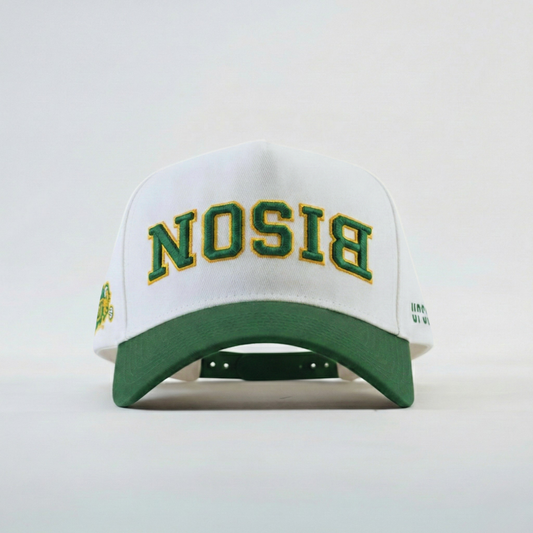 UPSIDE NDSU Bison Hat - AVBL MRKT (1)