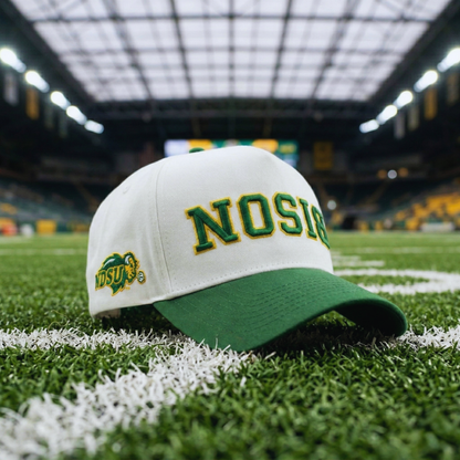 UPSIDE NDSU Bison Hat - AVBL MRKT (4)