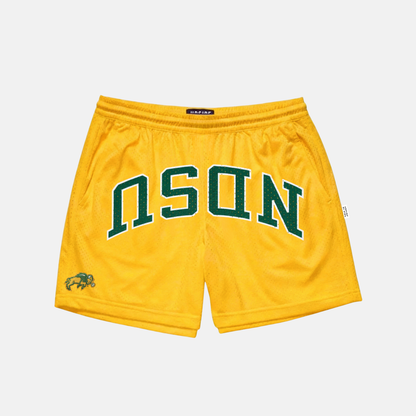 UPSIDE NDSU Bison Mesh Shorts - AVBL MRKT (1)