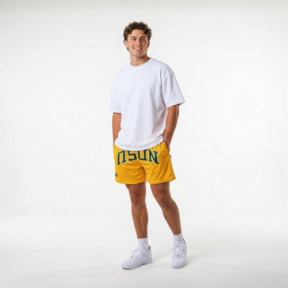 UPSIDE NDSU Bison Mesh Shorts - AVBL MRKT (2)