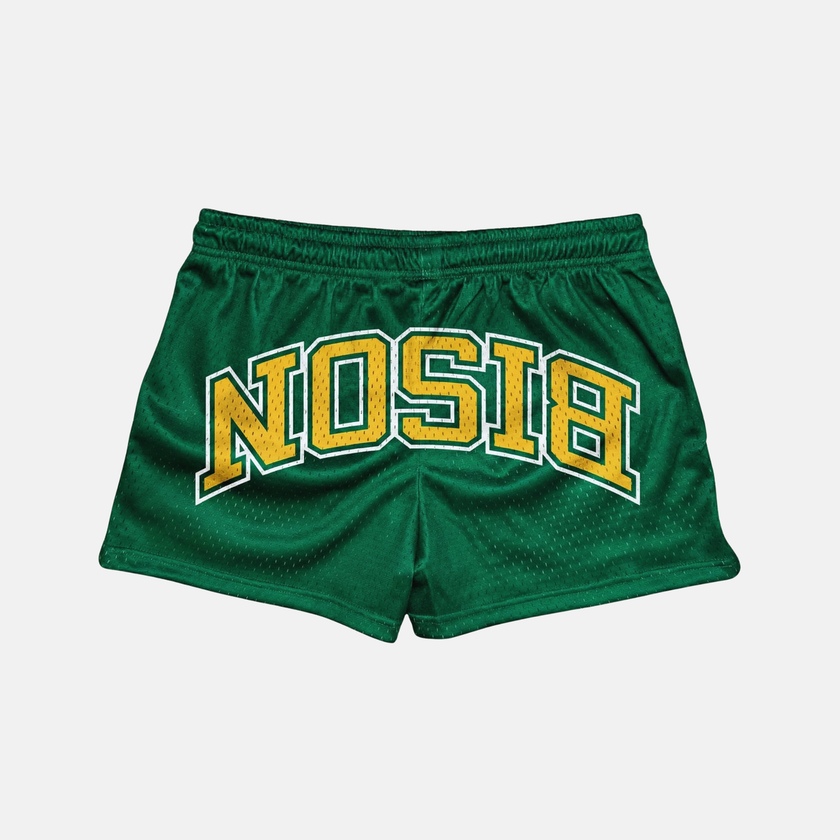 UPSIDE NDSU Bison Mesh Shorts | Women - AVBL MRKT (1)