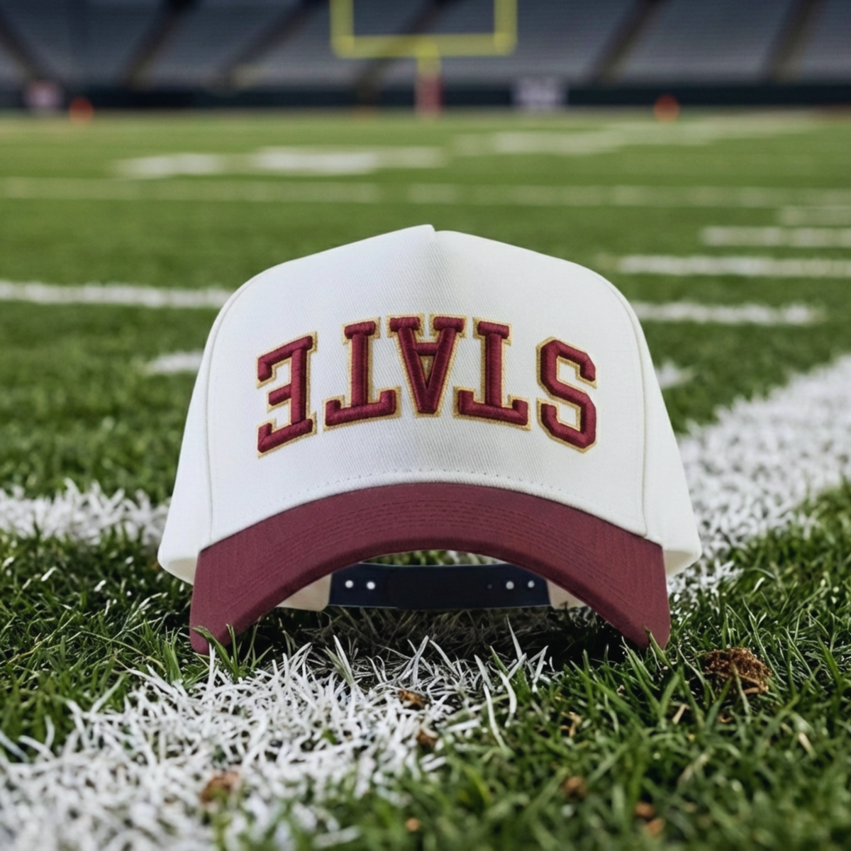UPSIDE State Hat - AVBL MRKT (2)