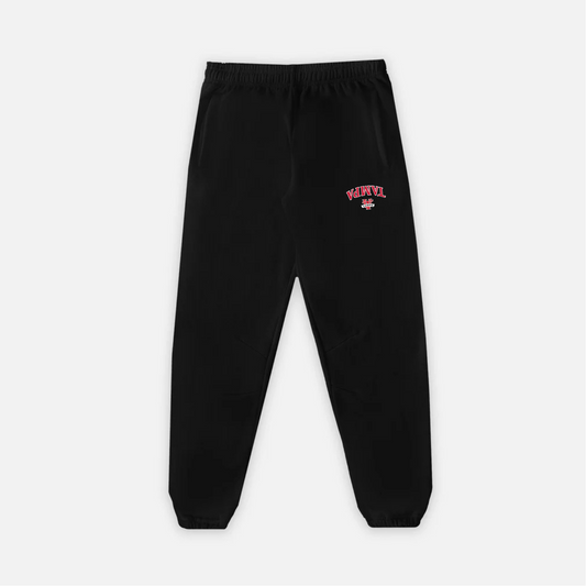 UPSIDE Tampa Spartans Embroidered Sweatpants - AVBL MRKT (1)