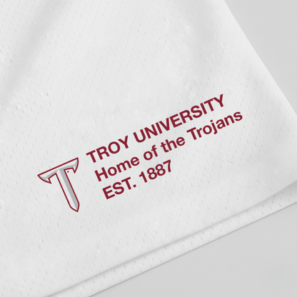 UPSIDE Troy Trojans Mesh Shorts | Exclusive - AVBL MRKT (3)