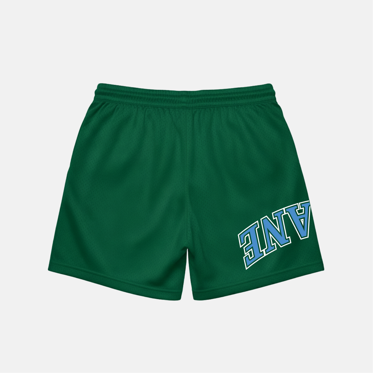 UPSIDE Tulane Mesh Shorts | Exclusive - AVBL MRKT (4)