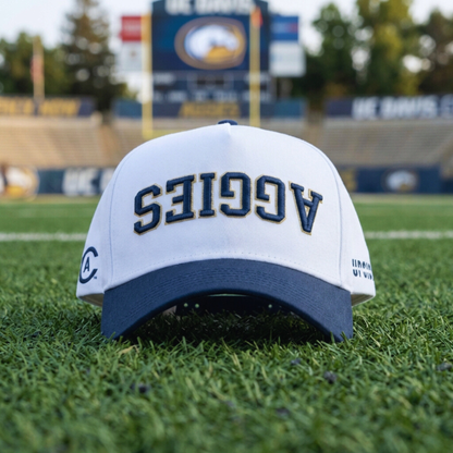UPSIDE UC Davis Aggies Hat - AVBL MRKT (4)