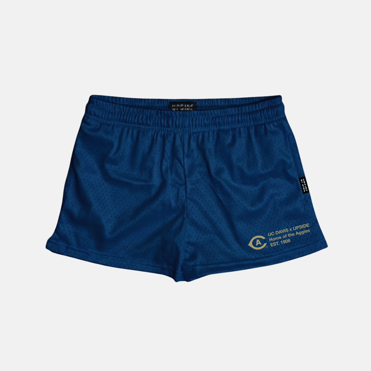 UPSIDE UC Davis Aggies Mesh Shorts | Women - AVBL MRKT (2)