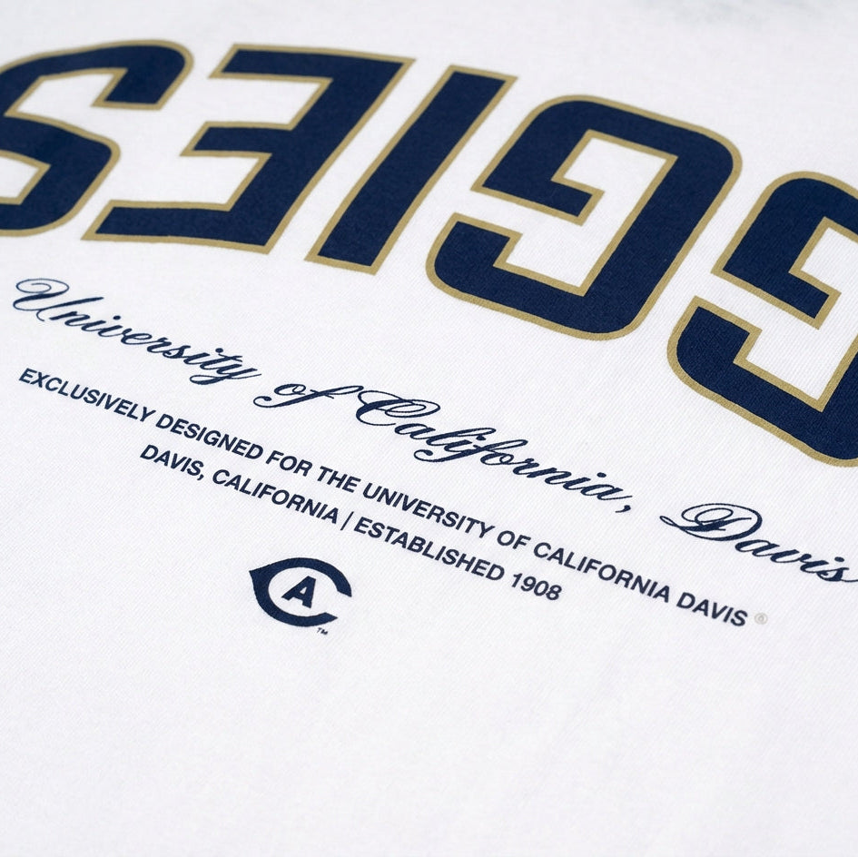 UPSIDE UC Davis Essentials Oversized Tee - AVBL MRKT (4)