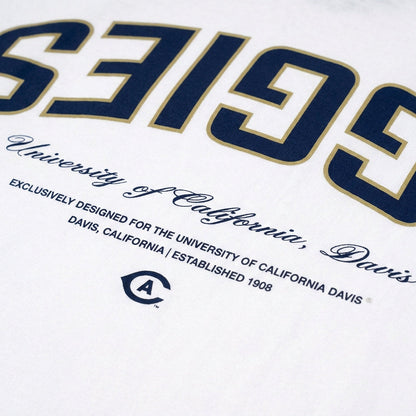 UPSIDE UC Davis Essentials Oversized Tee - AVBL MRKT (4)