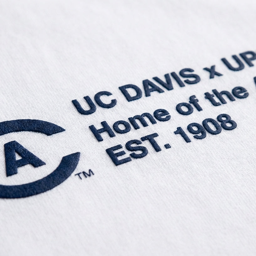 UPSIDE UC Davis Essentials Oversized Tee - AVBL MRKT (5)