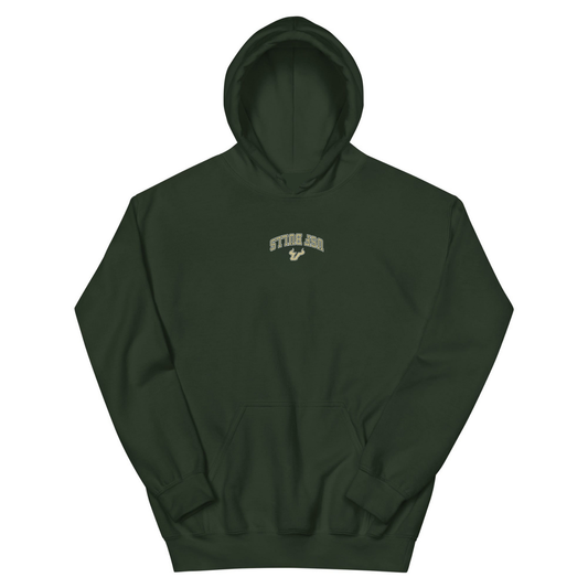 UPSIDE USF Bulls Embroidered Hoodie - AVBL MRKT (1)