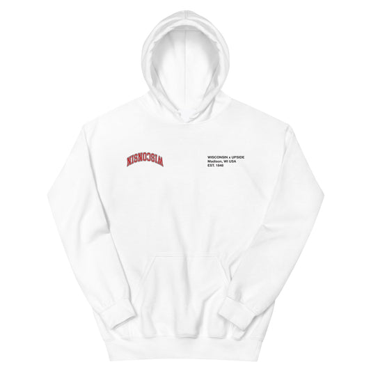 Wisconsin x UPSIDE Hoodie - AVBL MRKT (1)