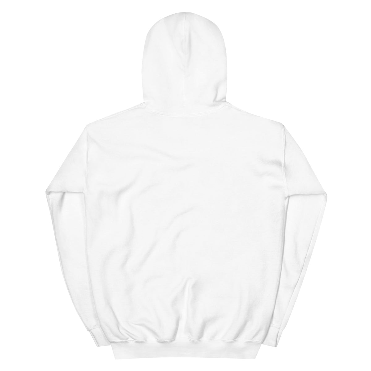 Wisconsin x UPSIDE Hoodie - AVBL MRKT (2)